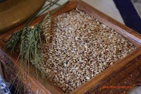 Tsampa | Simply Tibetan, Simply Delicious
