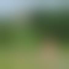 Nackt sein – Zwischen Freizügigkeit und Schamgefühl - SWR2