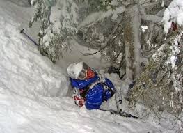 How to not die in a tree well