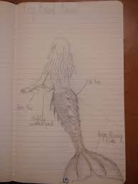 Kissing midnight mermaid