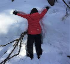 How To Survive A Tree Well - Points North Physical Therapy