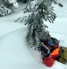 Tree Well fatalities and how to avoid - Powder Canada