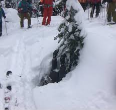VIDEO: Pro Skier Shows Us the Danger of Tree Wells - SnowBrains