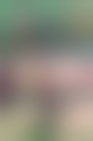 Lulu and Paine (Final Fantasy X) [ShadBase] - 1 . Lulu and Paine - Chapter  1 (Final Fantasy X) [ShadBase] - AllPornComic