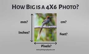 How Big is a 4×6 Photo?(Inch, cm, mm, Ft, Pixels) - PhotographyAxis