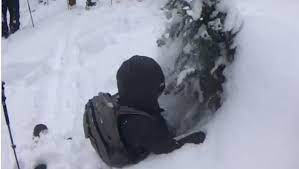 Watch a Skier Demonstrate the Danger of Tree Wells | Teton Gravity Research