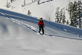 Dangerous Powder: The Deadly Pitfalls of Tree Wells – AdventuresNW