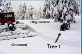Tree Well fatalities and how to avoid - Powder Canada