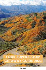 Your Superbloom Getaway Guide 2023 - PureWow