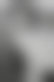 Helmut Newton - artist, news & exhibitions - photography-now.com