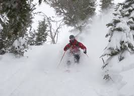 Tree wells deadly hazard for snowboarders, skiers – Orange County Register