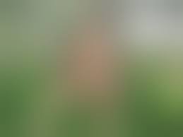 Reife Frauen in Natur - Die besten gratis-sex-Bilder über Nackte Frauen