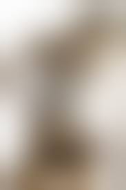 エリザベス・バンクス-乳首スケ画像 - xnews2 スキャンダラスな光景