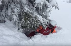 How to save yourself and rescue others when caught in a tree well |  SnowsBest