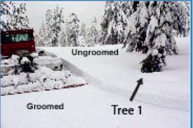 Tree Well fatalities and how to avoid - Powder Canada
