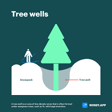 Tree wells or snow traps — quite dangerous - Windy.app
