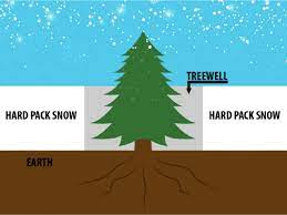 Tree-Wells