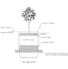 Tree Wells - Soak it up Franklin