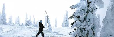 Tree wells or snow traps — quite dangerous - Windy.app