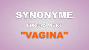 527 Synonyme für das Wort Vagina [2023] | lachvegas.de