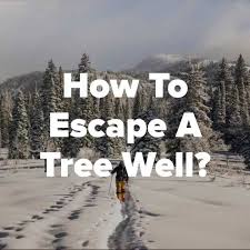 Treewell and Snow Immersion Safety - YouTube