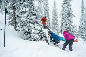 Backcountry Safety: Study Looks at Skier and Snowboarder Tree Well  Incidents - Out There Outdoors
