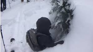 Watch a Skier Demonstrate the Danger of Tree Wells | Teton Gravity Research