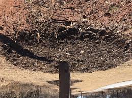 Tree Well Maintenance | Edmond, OK - Official Website