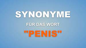 869 Synonyme und lustige Wörter für das Wort Penis, anderes Wort für Penis  [2023] | lachvegas.de