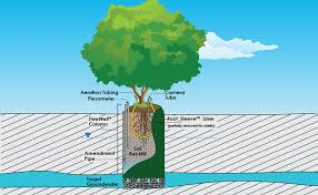 TreeWell