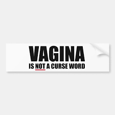 Vagina ist NICHT ein Fluch-Wort-Autoaufkleber Autoaufkleber | Zazzle.ch