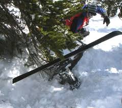When & Where :: Tree Well and Snow Immersion Suffocation (SIS)
