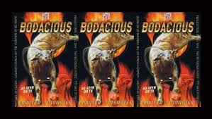 نتیجه جستجوی لغت [bodacious] در گوگل