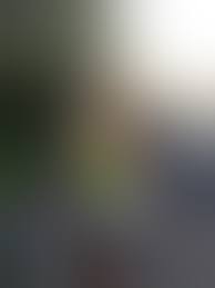 Sophia Vegas / Sophia Wollersheim - the perfect bimbo ! | Freeones Forum -  The Free Sex Community