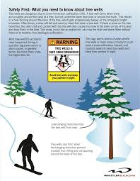 Snowshoeing Safety: 14 Ways to Get into Trouble and How to Prevent Them -  Happiest Outdoors