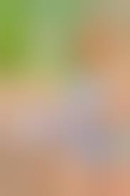 daisy dukes - free sexy galleries, nude babe pics at Silken Girl