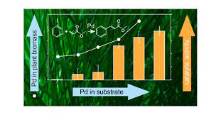Toward Financially Viable Phytoextraction and Production of Plant-Based  Palladium Catalysts | Environmental Science & Technology