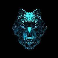 Kori Inu price today, KORI to USD live, marketcap and chart | CoinMarketCap