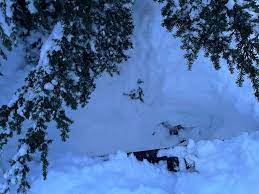 Woman's Scary Tree Well Experience Reminds Us It's Not Just Avalanches That  Can Kill During Heavy Snow - SnowBrains