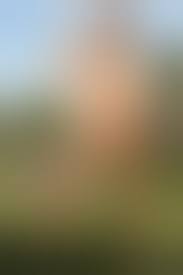 Susanne Public Flashing 91 - FKK Bilder und Fotos