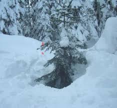 When & Where :: Tree Well and Snow Immersion Suffocation (SIS)