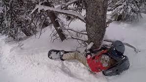 Tree wells - The Whiteroom