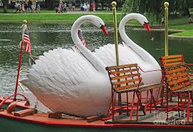Swan Boat Boston Common Photograph by Randall Weidner - Pixels