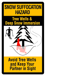 Tree Well & Deep Snow Safety