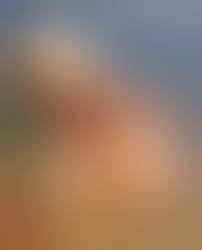 Nackte Frauen am Strand - geile Frauen beim Nacktbaden