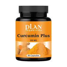 500mg Curcumin Plus Capsules, Sukhayubhava Pharmaceutical, Packaging Type:  Pet Bottle at Rs 140/bottle in Gurgaon
