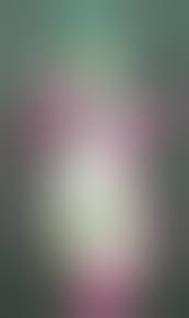 Iron valiant rule 34