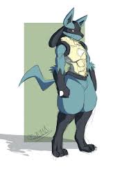 lucario pokemon Dorion - Illustrations ART street