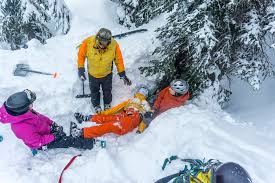 Backcountry Safety: Study Looks at Skier and Snowboarder Tree Well  Incidents - Out There Outdoors