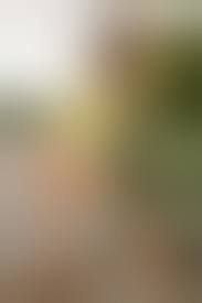 Roni Ford MILF Pics, Nude Roni Ford Galleries